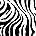 Zig-Zag Zebra