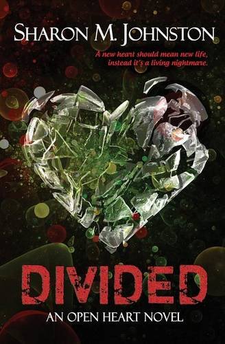 divided open heart novel volume 1