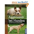 Aggression bei Hunden: Von Besitzanspruch bis Drohverhalten