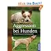 Aggression bei Hunden: Von Besitzanspruch bis Drohverhalten