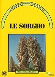 Le sorgho