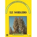 Le sorgho