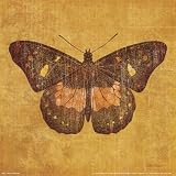Ochre Butterfly Art Poster Print by Katie Pertiet, 8×8