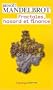 Fractales, hasard et finance