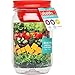 Aladdin Classic Mason Salad Jar 32 oz, Tomato