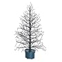3' Black Fiber Optic Lighted Twig Christmas Tree