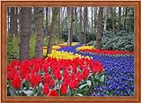 Picture Frame Walnut Peak .. 0.75'' wide