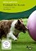 Treibball f�r Hunde/Treibball for Dogs