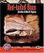 Red-Tailed Boas: A Complete Guide to Boa Constrictor (Complete Herp Care)