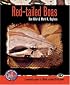Red-Tailed Boas: A Complete Guide to Boa Constrictor (Complete Herp Care)
