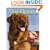 Dog Heroes Poster Book (Story Poster Book)