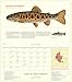 Trout of North America Wall Calendar 2016