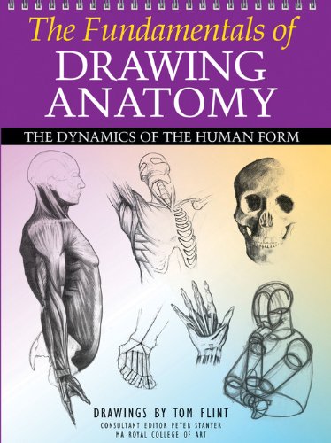 The Fundamentals of Drawing Anatomy: The Dynamics of the Human Form