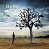 Image of album by Bluetree