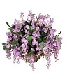 Artificial Lavender Wisteria Hanging Basket