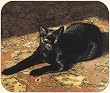 Black Cat Sun Bath Tabby Cat MousePad Mouse Pad