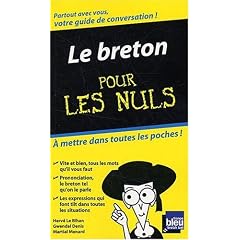 Le breton pour les nuls