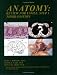 Search : Anatomy: Review for USMLE, Step 1, Third Edition