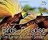 Birds of Paradise: Revealing the World's Most Extraordinary Birds
