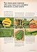 1967 Ad John Deere Corn Combine Tractor Farming Agriculture Advertisement Field - Original Print Ad