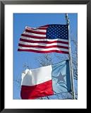 American and Texan Flags, Texas, USA Education Framed Art Poster Print by Ethel Davies, 25x31