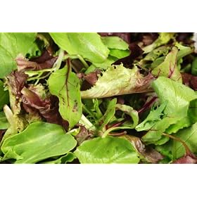 Fresh Picked Spring Mix Lettuce - Avg 3 Lb Case