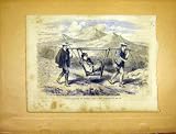 日本人のくず日本旅行フランス語は 1865 を印刷します 日本人