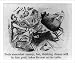 Historic Print (L): [Caricature of sea sick passenger]: Feels somewhat uneasy, but, ....