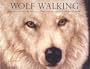 Wolf Walking