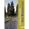 Iter Romanum. Lehrwerk f�r Latein als 2. oder 3. Fremdsprache - Neubearbeitung: Iter Romanum Lehrwerk f�r Latein als 2. oder 3. Fremdsprache: ... Latein f�r Latein als 2. oder 3. Fremdsprache