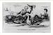 Historic Print (M): The game-cock & the goose