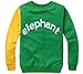 Little Hand Little Boys' Color Block Animal Print Sweater T-Shirt