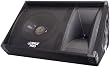 PYLE-PRO PASC12 - 600 Watt 12'' Two-Way Stage Monitor Speaker System