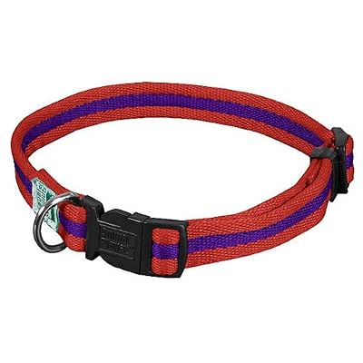 Animal Planet Quick Snap Cushy Pet Collar 3/4-in Medium (13-in to 20-in) Red/Purple