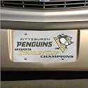 Pittsburgh Penguins 2009 NHL Stanley Cup Champions Silver Mirrored License Plate