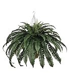 UPC 613399814839 product image for House of Silk Flowers Artificial Fern in Square Hanging Basket | upcitemdb.com