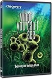 What You Can't See