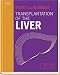 Transplantation of the Liver