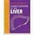 Transplantation of the Liver