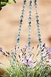 Blue, Clear, and Silver Beaded Flower Pot Hanger