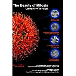 The Beauty of Mitosis: University Version
