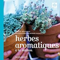Herbes aromatiques à la maison