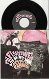 Bite of My Soul / Remember the Ramones 7 Inch Vinyl (Ultra Limited Only 500 Made)