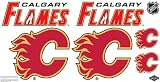 NHL Calgary Flames Car Decals Medium - 49-by-25-Inch