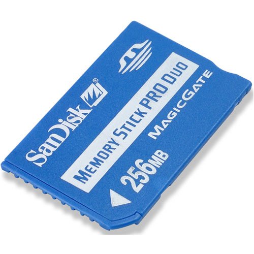 SanDisk 256 MB MemoryStick Pro Duo ( SDMSPD-256-A10 )