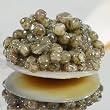 Sevruga Classic Grey Caviar Malossol