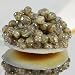 Sevruga Classic Grey Caviar Malossol