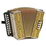 Hohner Vienna 2915 D/G Pokerwork Accordion Squeezebox Black/Gold