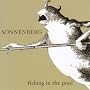 Fishing in the Pool