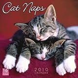 Cat Naps 2010 Wall Calendar (Calendar)